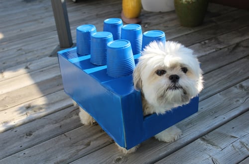 DIY lego dog costume with solo cups