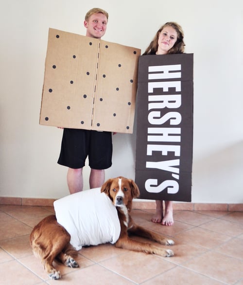 Family Smores Costume
