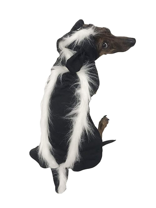 Skunk dog Halloween costume