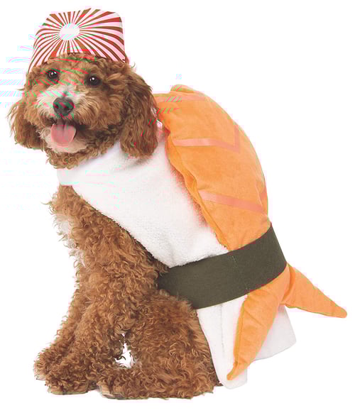 Sushi dog costume