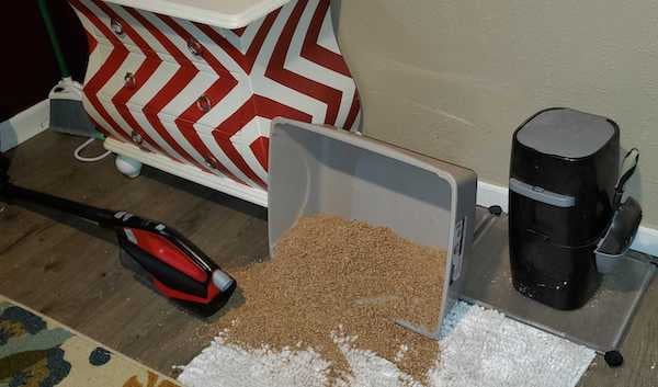 cat litter box mess