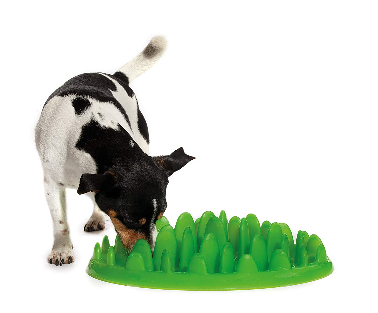 best dog food puzzles