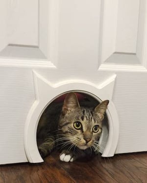 Ikea Hackers - A top entry cat litter box that prevents litter escaping,  makes the cat to walk over a mat to prevent tracking and has a hinged door  to reduce smell.