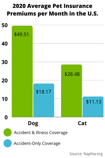 pet insurance average premium for cats and dogs