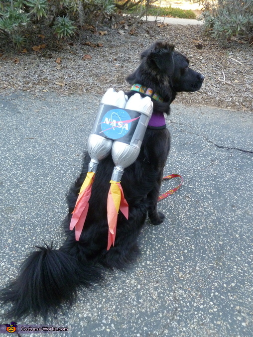 lego dog costume