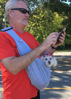 walking senior dog in a sling pouch