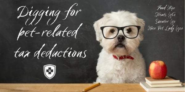 white dog in front of chalkboard with digging for tax deductions