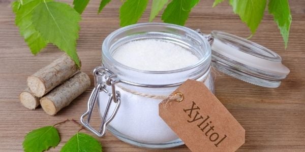 xylitol toxicity in dogs what to do