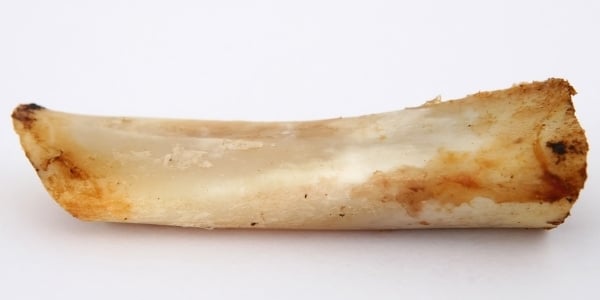 bone chew that is dangerous for dogs