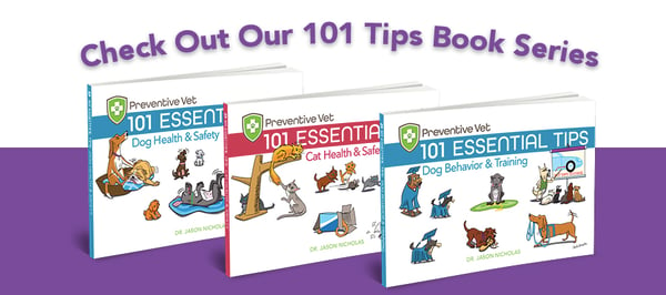 book-series-101-tips-client-education