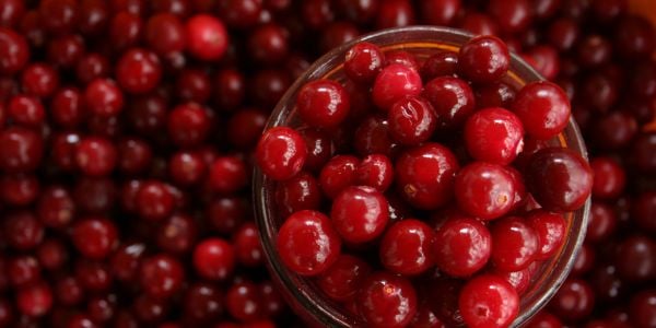 bowl of fresh cranberries that are good for urinary health-canva