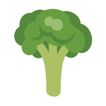 broccoli for pets
