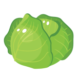 cabbage