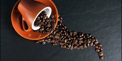 caffeine toxic for cats 