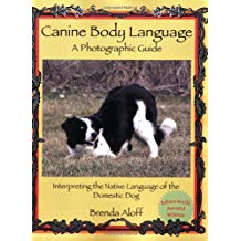 canine body language