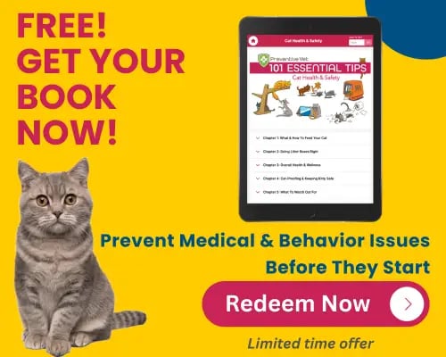 Get your free digital cat health and safety book for a limited time.