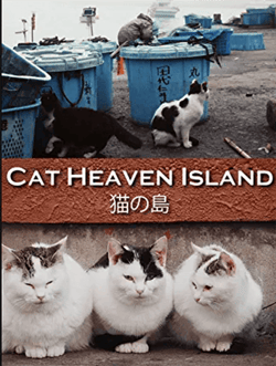 cat heaven island documentary