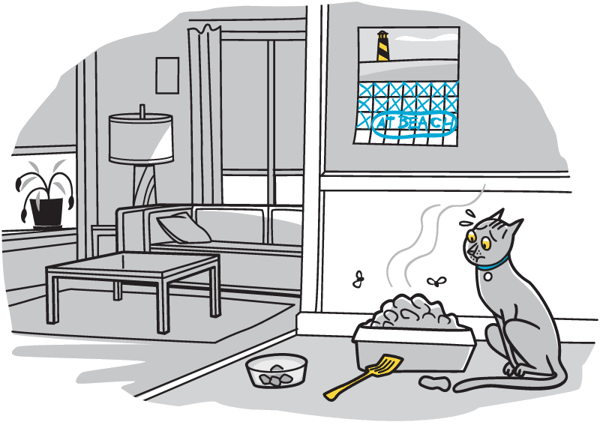 cat home alone for the weekend illustration