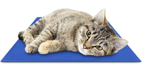 cat lying on a cooling mat