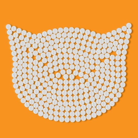 cat pills in the shape of a cats head