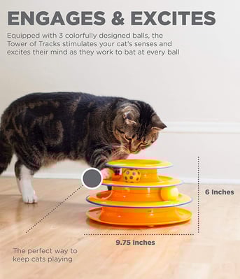 cat toy low to ground