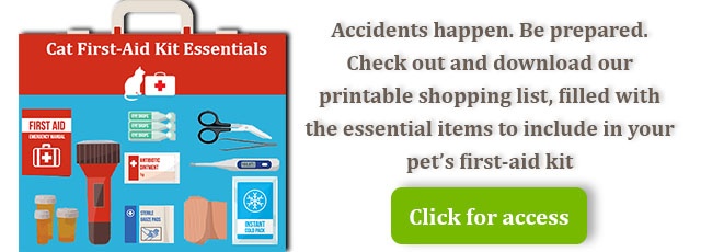 see our cat first aid shopping list