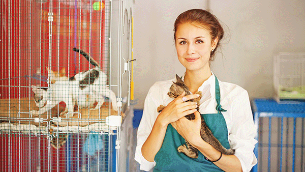woman holding cat at shelter