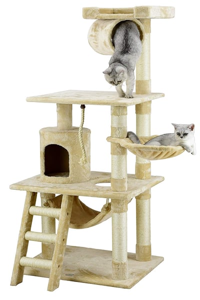 cat tree provides environmental enrichment