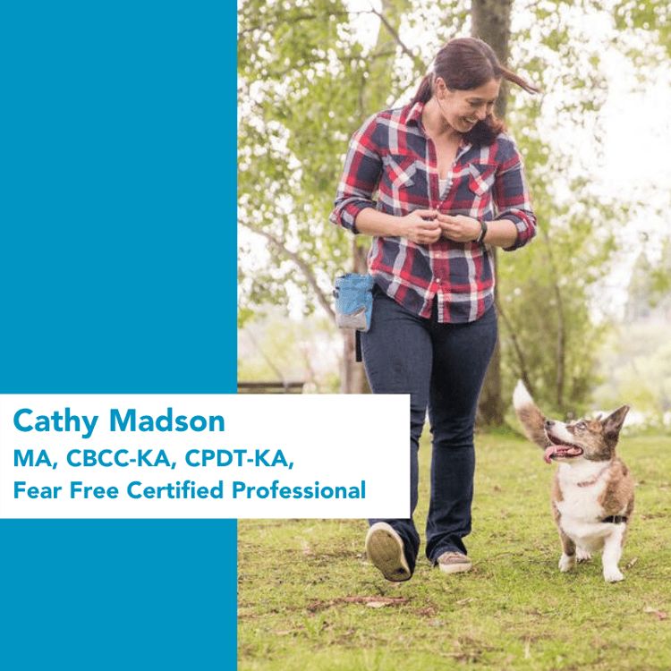 cathy madson prize