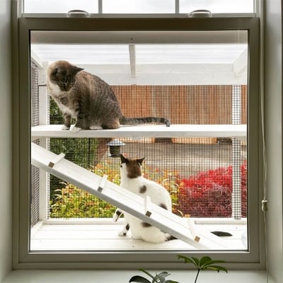 catio in the window for two cats