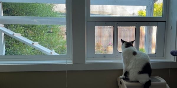 catio with cat door access through the window