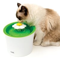 catit water fountain for cats