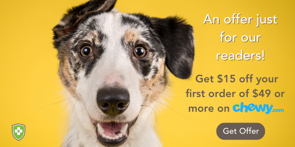 chewy offer for new customers