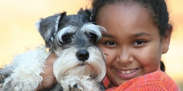 children meeting dogs