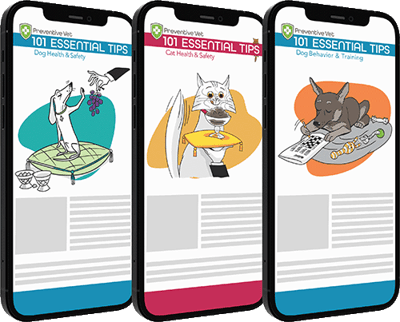 completeBundlePhoneLg-book