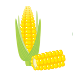 corn