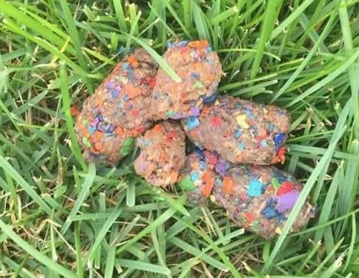 crayons in dog poo-side