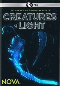 creatures of light