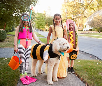 dog-with-kids-trick-or-treating-halloween-350