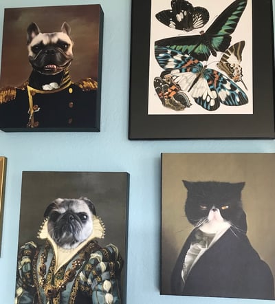 personalized pet portraits unique gift idea