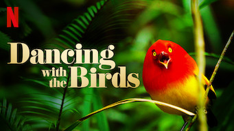 dancing with the birds on netflix