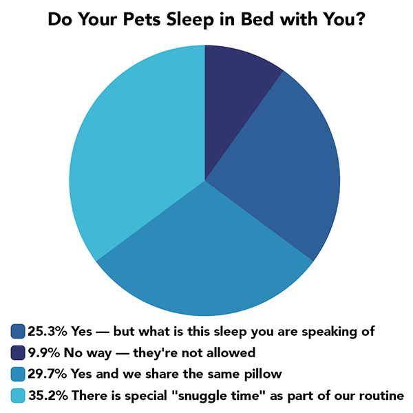 do you let pets share bed poll newsletter