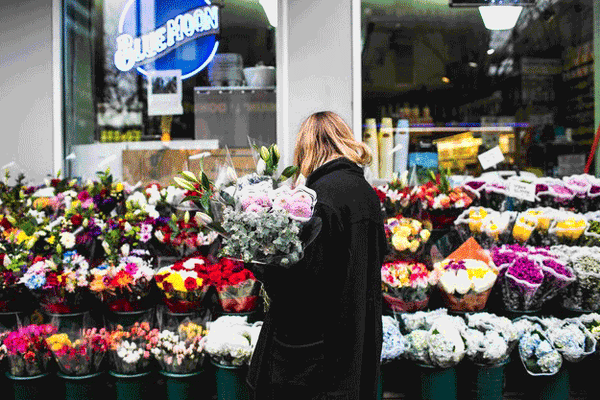 lilies are extremely toxic for cats