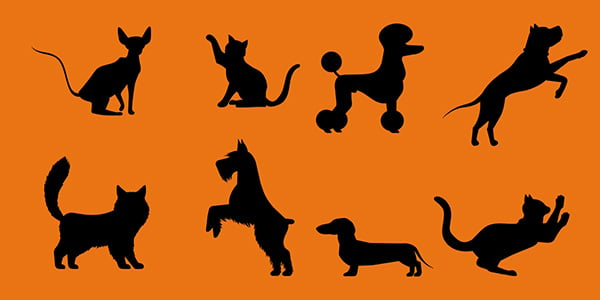 dog and cat silhouettes for pumpkins