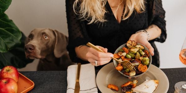 dog at the table with guests-canva