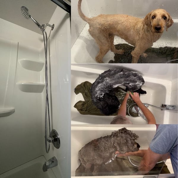 dog bath showerhead-preventive vet