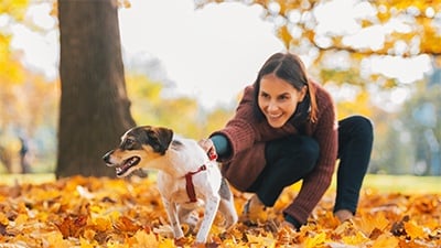 dog being held back by harness