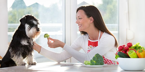 dog eating broccoli treat