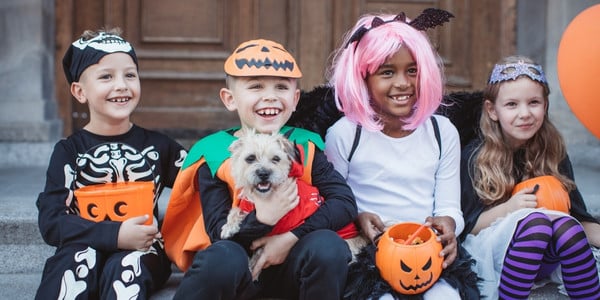 dog halloween safety with kids 600 canva