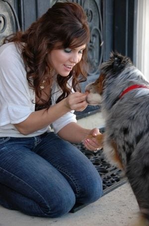 dog practicing how to shake for dog treat